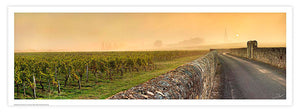 Affiche - Poster photo panoramique du vignoble de St Emilion