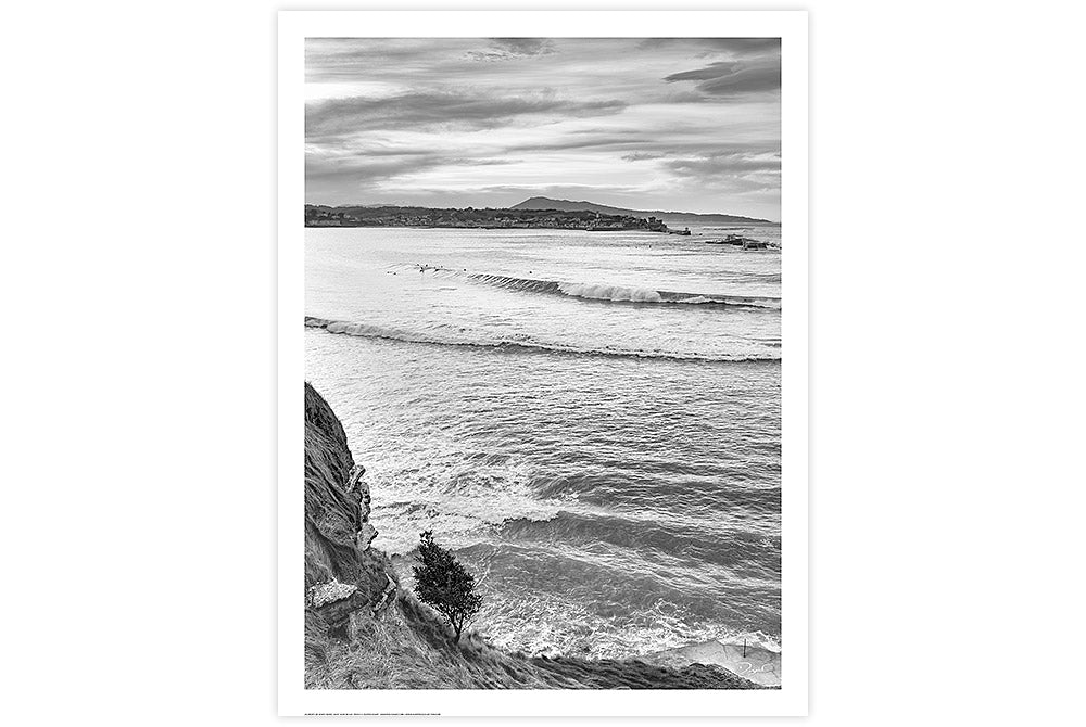 Surf à Sainte Barbe Albatros Collection